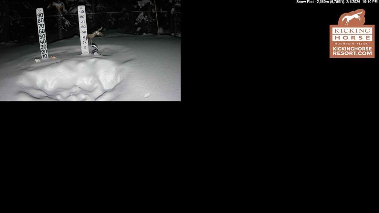 Webcam Kicking Horse: Snow Plot