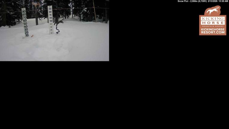 Webcam Kicking Horse: Snow Plot