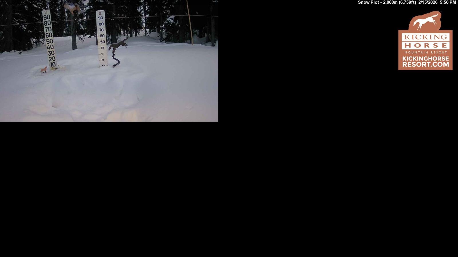 Webcam Kicking Horse: Snow Plot