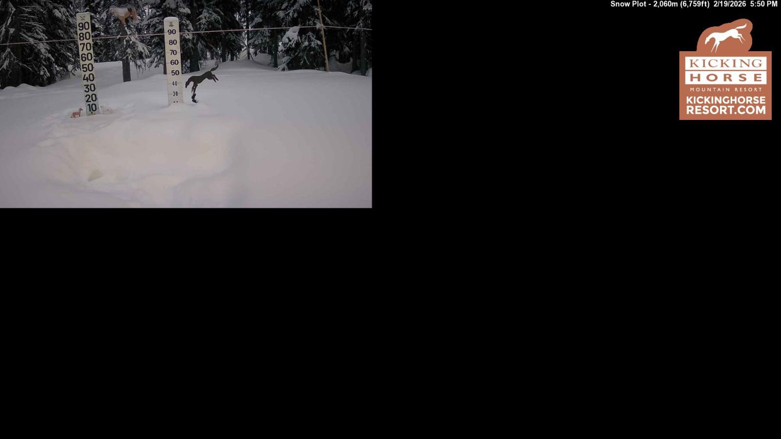 Webcam Kicking Horse: Snow Plot