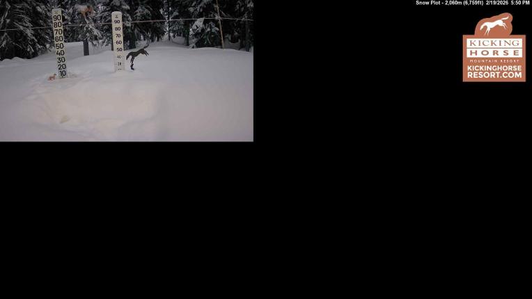 Webcam Kicking Horse: Snow Plot