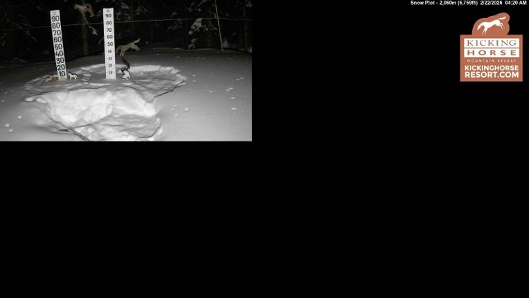 Webcam Kicking Horse: Snow Plot