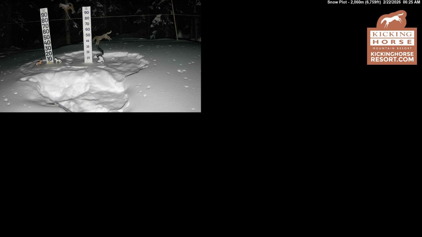 Webcam Kicking Horse: Snow Plot