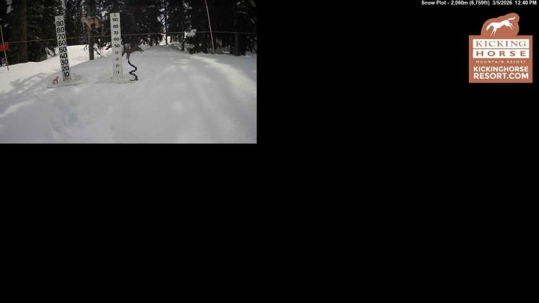 Webcam Kicking Horse: Snow Plot