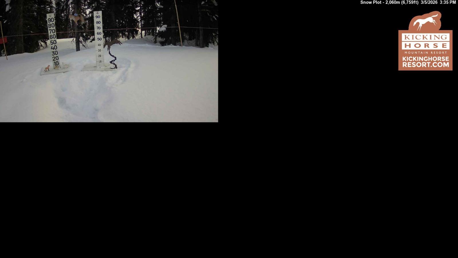 Webcam Kicking Horse: Snow Plot