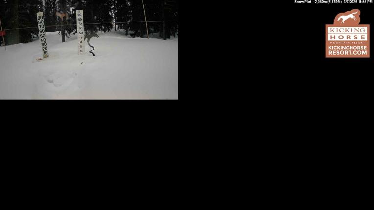 Webcam Kicking Horse: Snow Plot