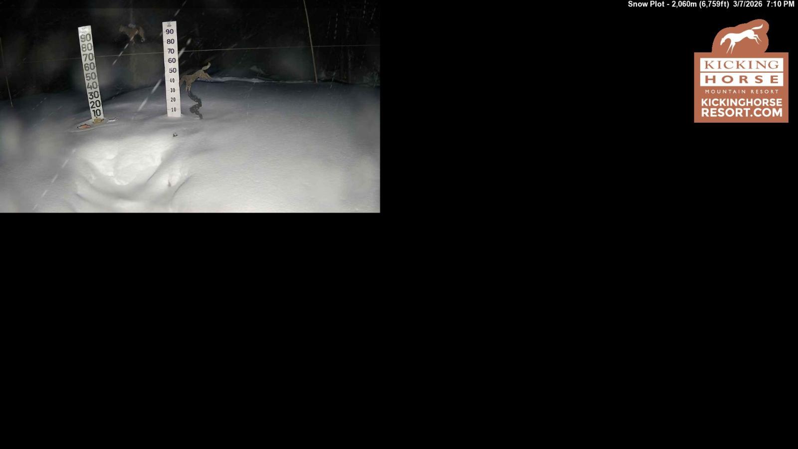 Webcam Kicking Horse: Snow Plot