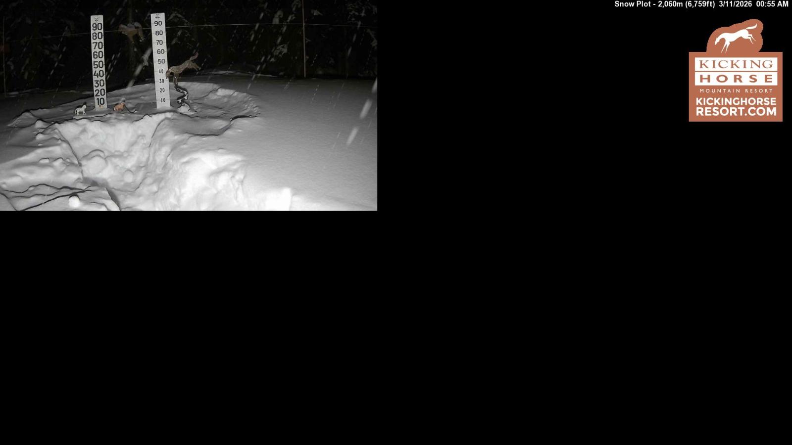 Webcam Kicking Horse: Snow Plot