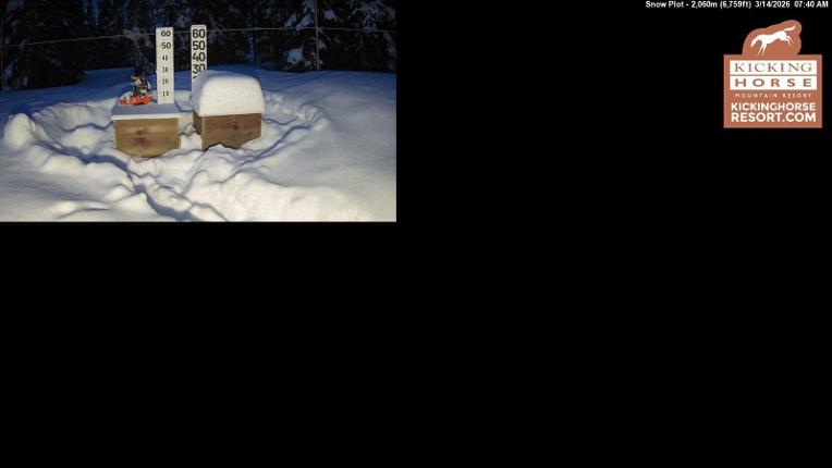Webcam Kicking Horse: Snow Plot