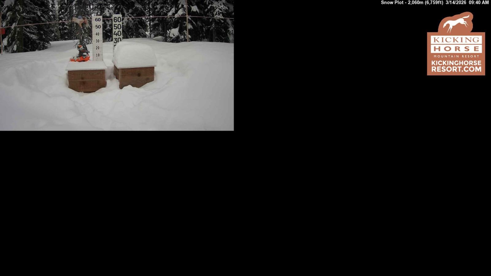 Webcam Kicking Horse: Snow Plot