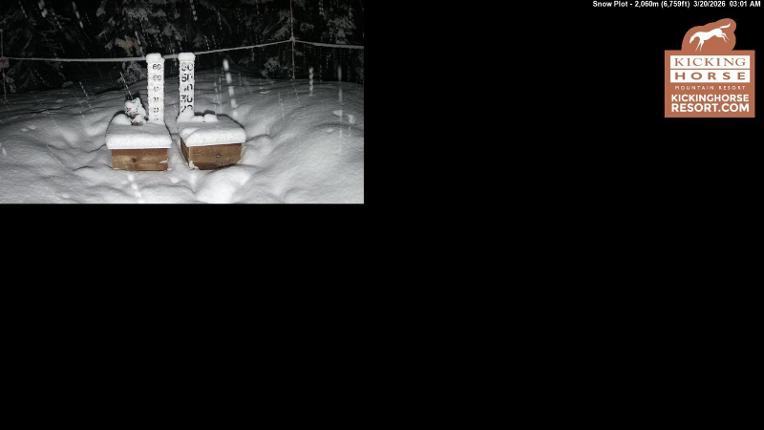 Webcam Kicking Horse: Snow Plot