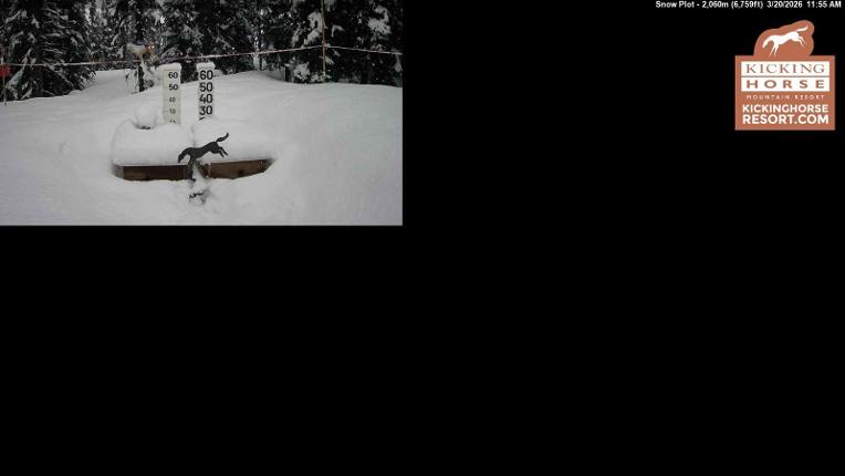 Webcam Kicking Horse: Snow Plot