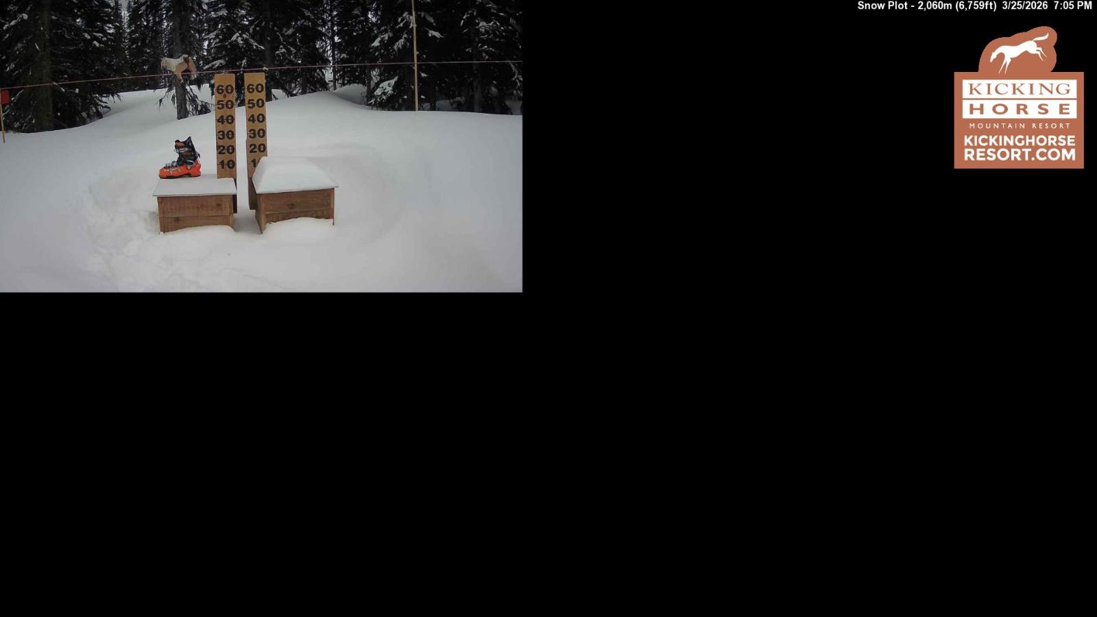 Webcam Kicking Horse: Snow Plot