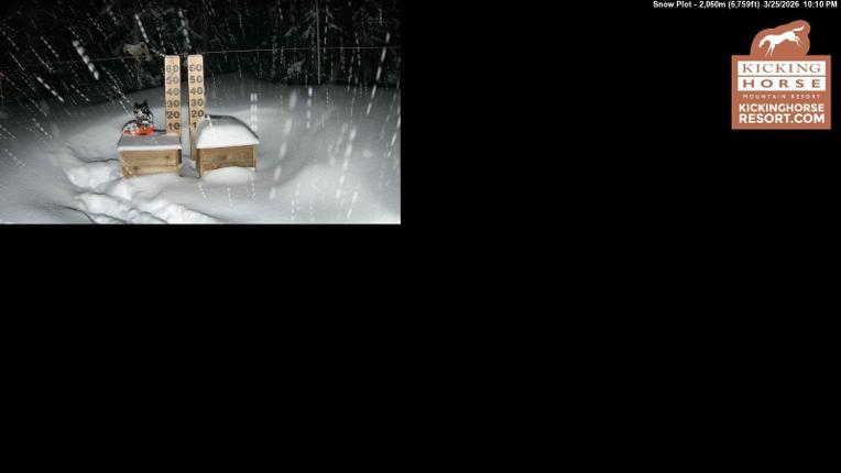 Webcam Kicking Horse: Snow Plot