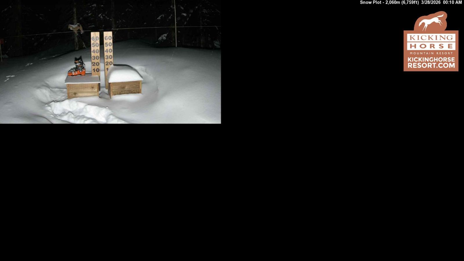 Webcam Kicking Horse: Snow Plot