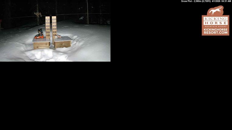 Webcam Kicking Horse: Snow Plot