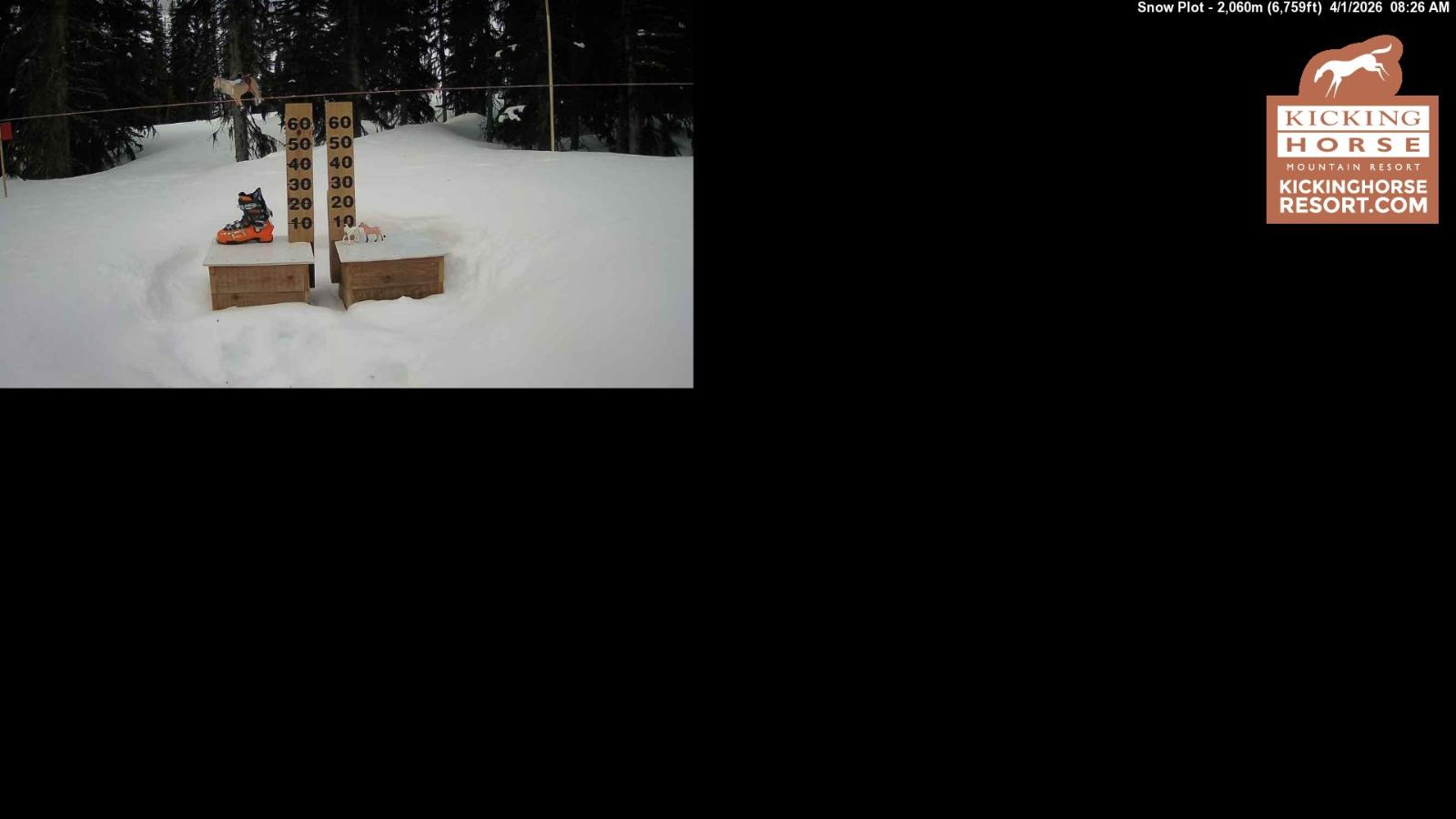 Webcam Kicking Horse: Snow Plot