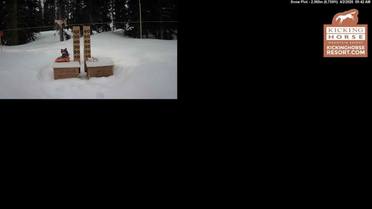 Webcam Kicking Horse: Snow Plot