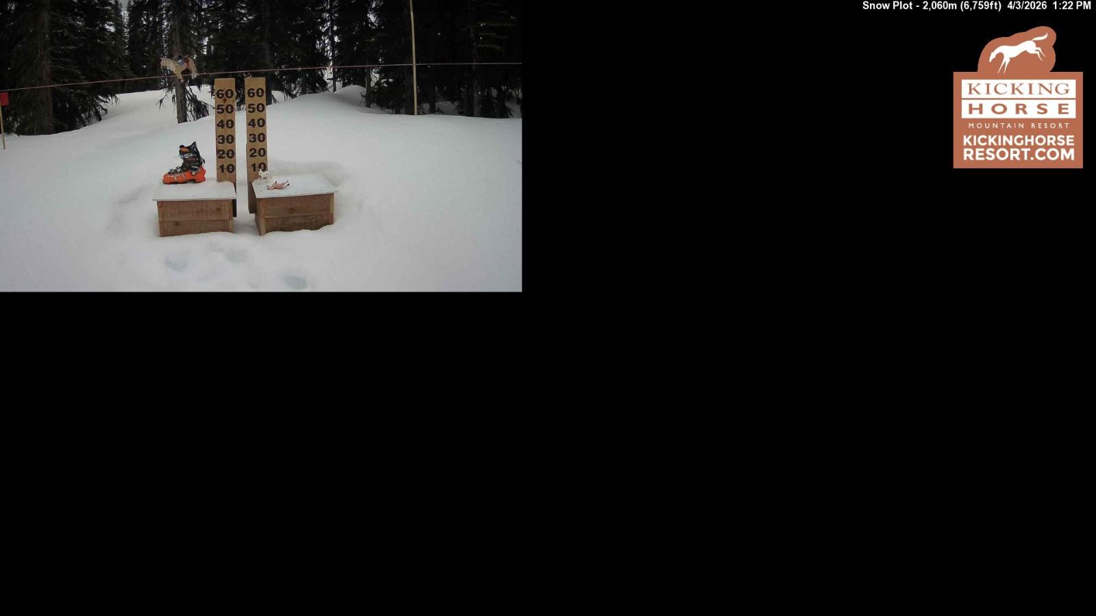 Webcam Kicking Horse: Snow Plot