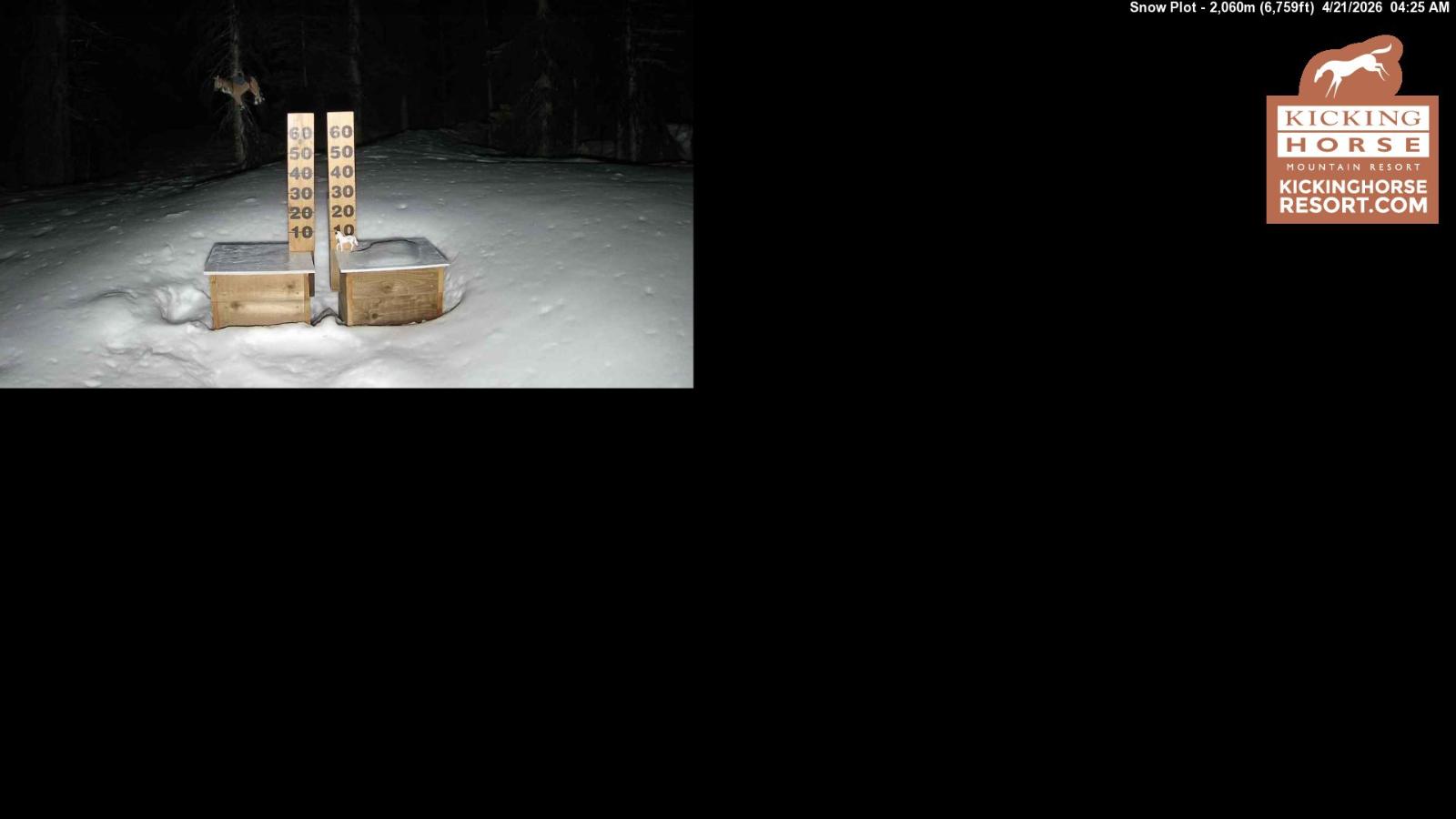 Webcam Kicking Horse: Snow Plot