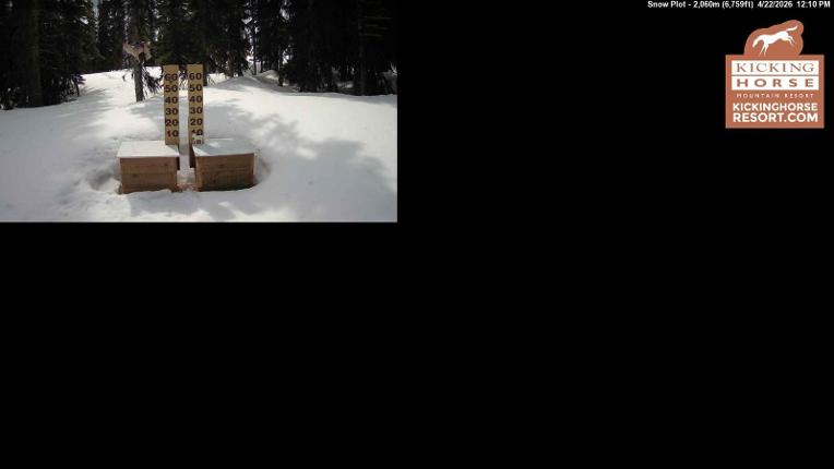 Webcam Kicking Horse: Snow Plot