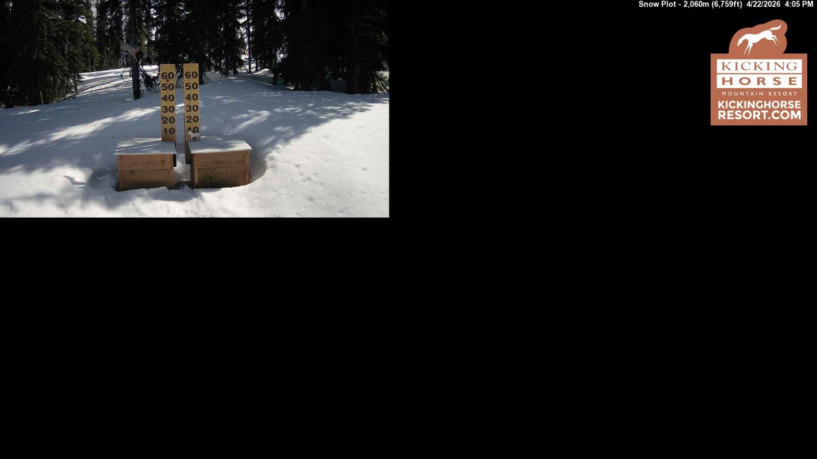 Webcam Kicking Horse: Snow Plot