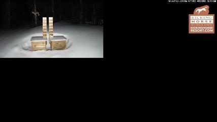 Kicking Horse: Snow Plot (kickinghorseresort.com)