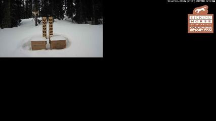 Kicking Horse: Snow Plot (kickinghorseresort.com)