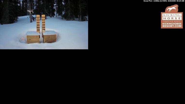 Webcam Kicking Horse: Snow Plot