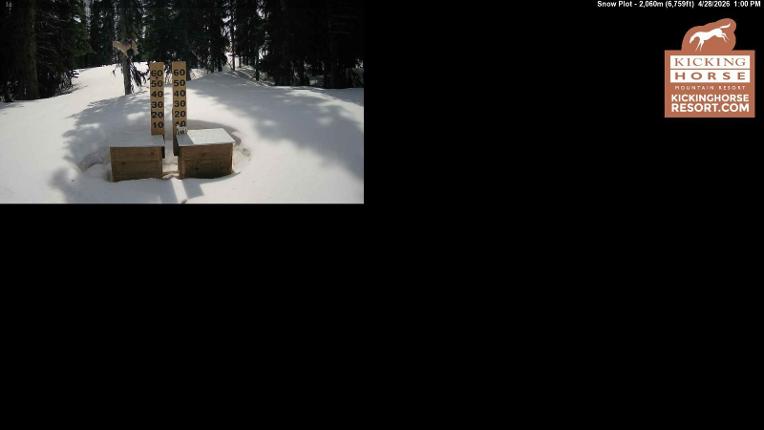 Webcam Kicking Horse: Snow Plot