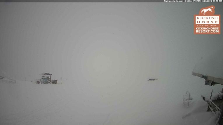 Webcam Kicking Horse: Stairway