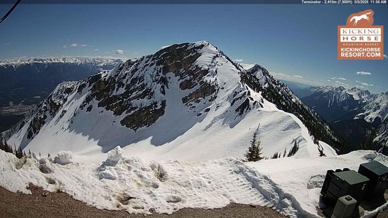 Webcam Kicking Horse: Terminator