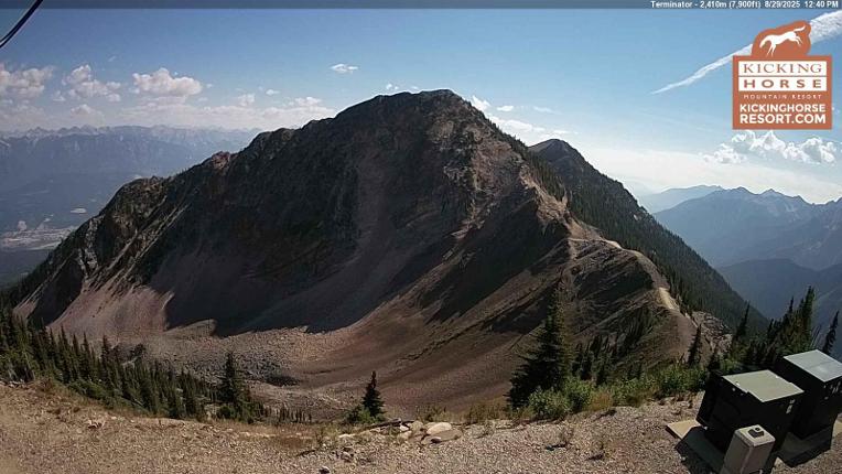 Webcam Kicking Horse: Terminator