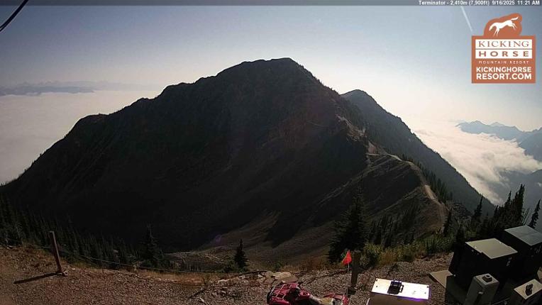 Webcam Kicking Horse: Terminator