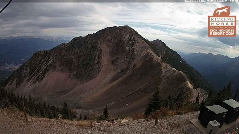 Webcam Kicking Horse: Terminator