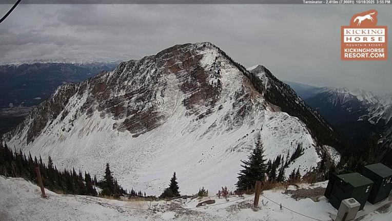 Webcam Kicking Horse: Terminator