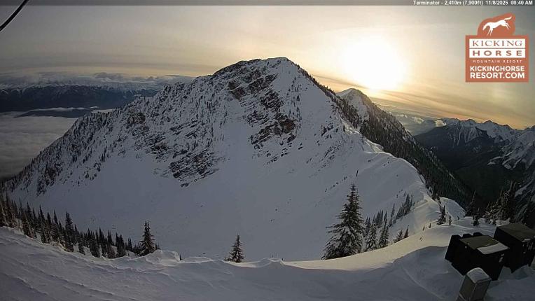 Webcam Kicking Horse: Terminator