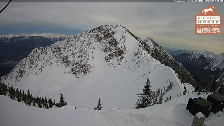 Webcam Kicking Horse: Terminator