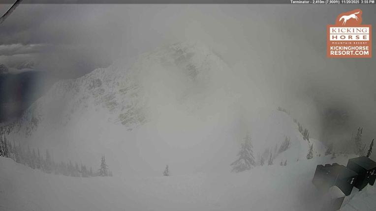 Webcam Kicking Horse: Terminator