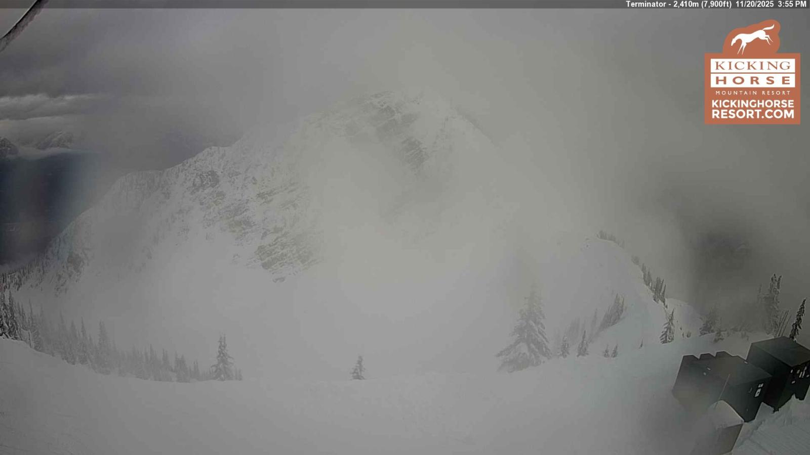 Webcam Kicking Horse: Terminator