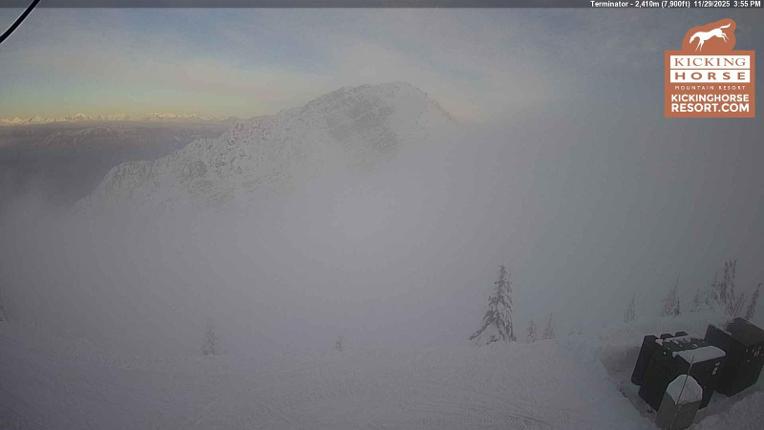 Webcam Kicking Horse: Terminator