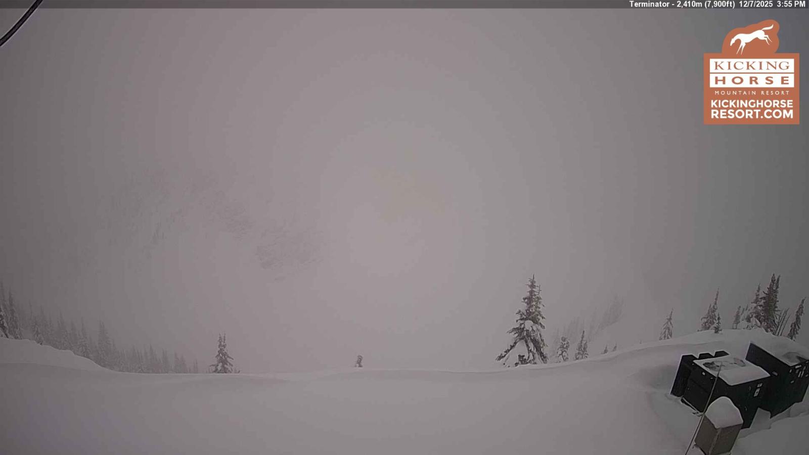 Webcam Kicking Horse: Terminator
