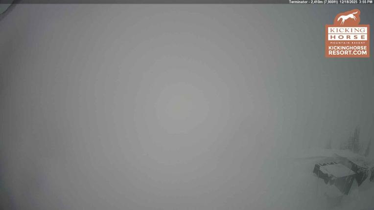 Webcam Kicking Horse: Terminator
