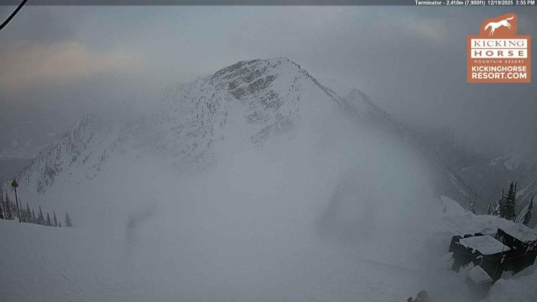 Webcam Kicking Horse: Terminator