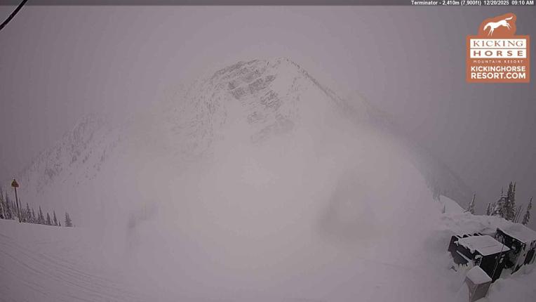 Webcam Kicking Horse: Terminator