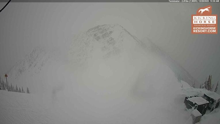 Webcam Kicking Horse: Terminator