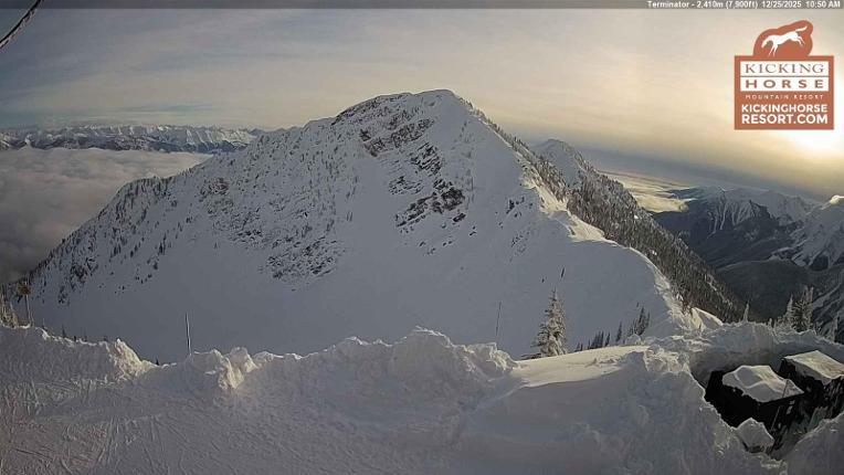 Webcam Kicking Horse: Terminator