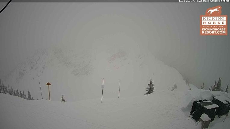 Webcam Kicking Horse: Terminator