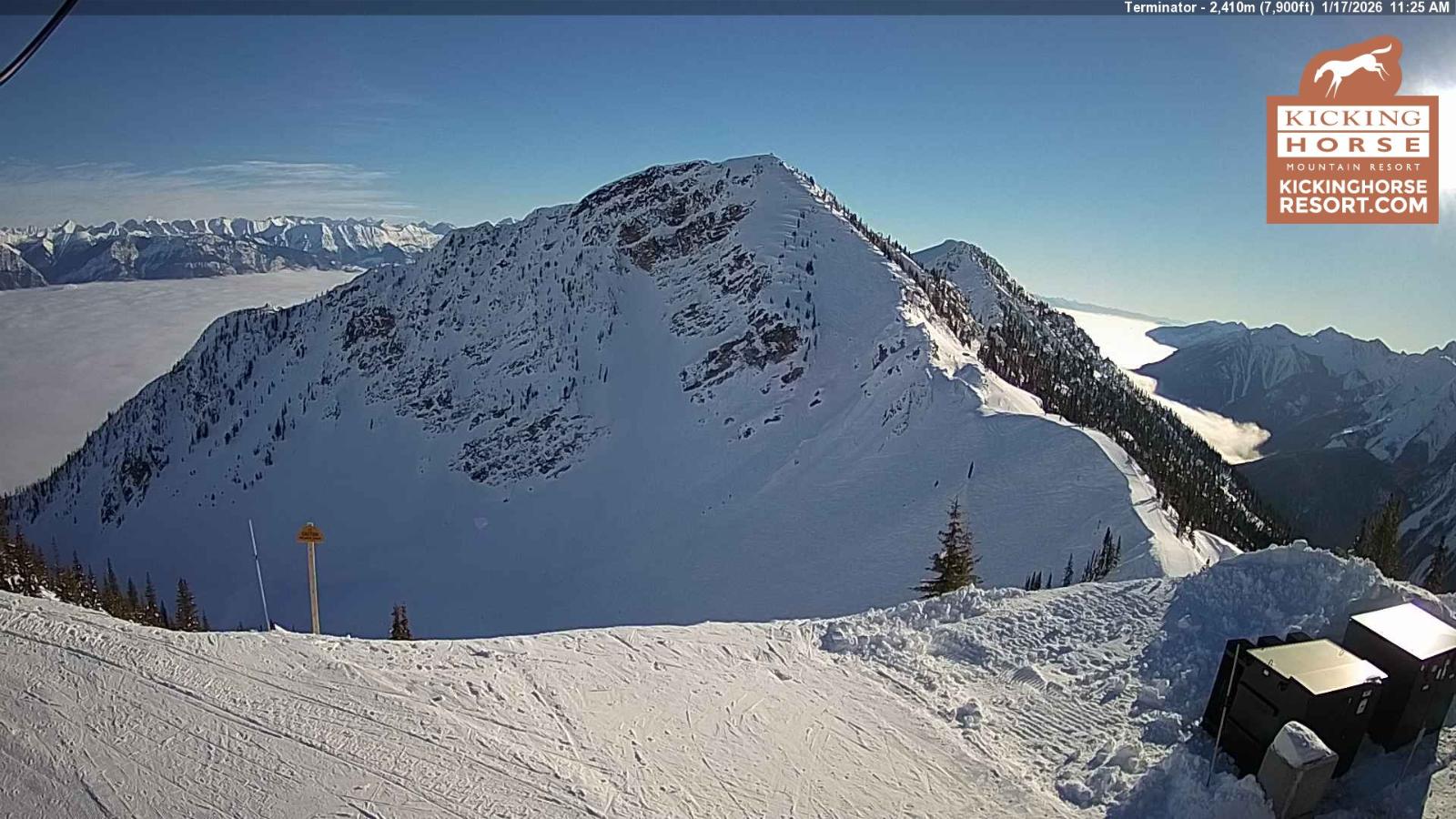 Webcam Kicking Horse: Terminator