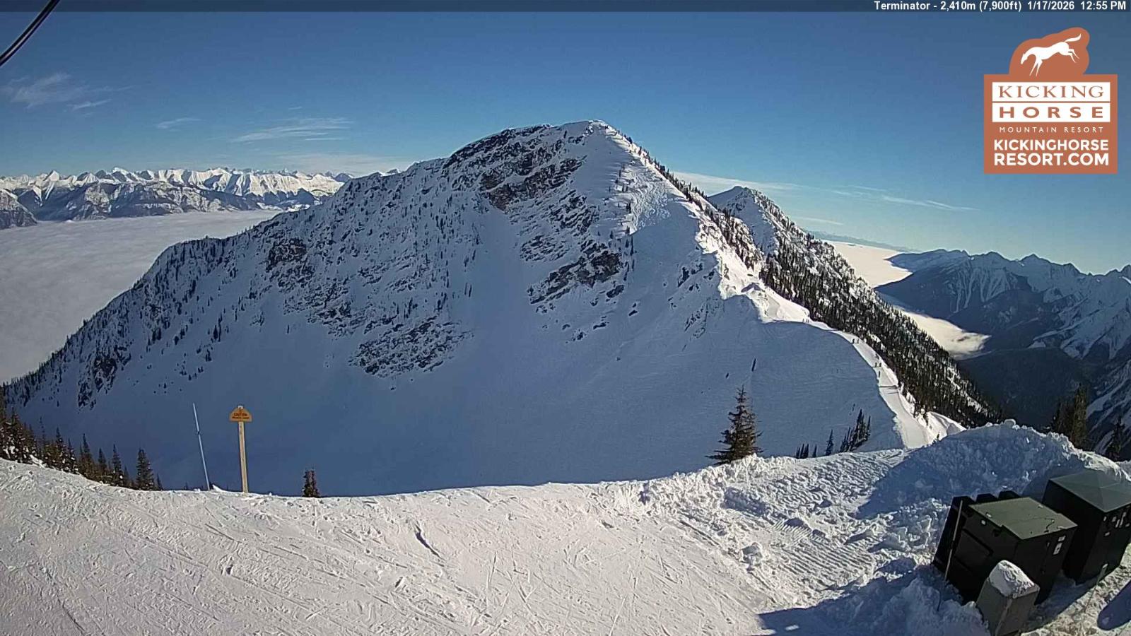 Webcam Kicking Horse: Terminator